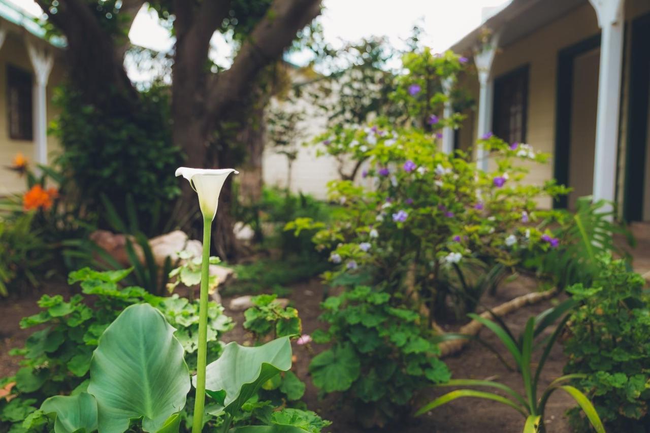 Victoria And Alfred Guest House Port Elizabeth Ngoại thất bức ảnh